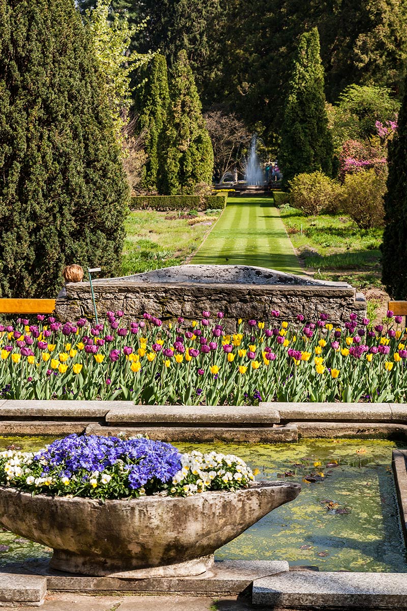 il gigante centri commerciali giardini più belli d'italia