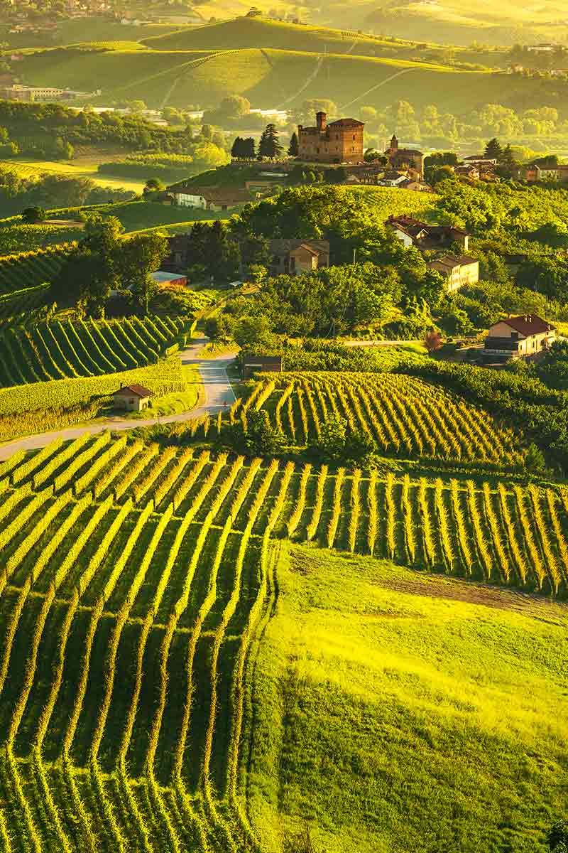 sentieri del vino in nord italia