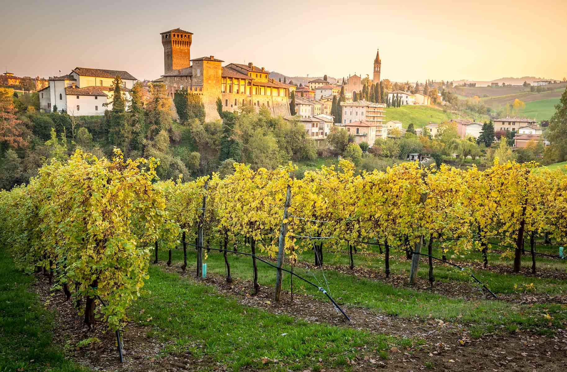 il gigante centri commerciali vigneti emilia romagna