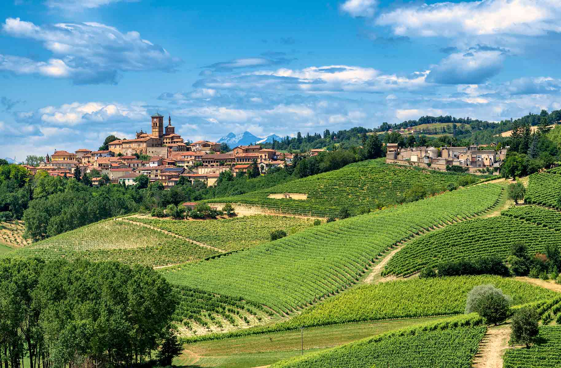 il gigante centri commerciali vigneti piemonte