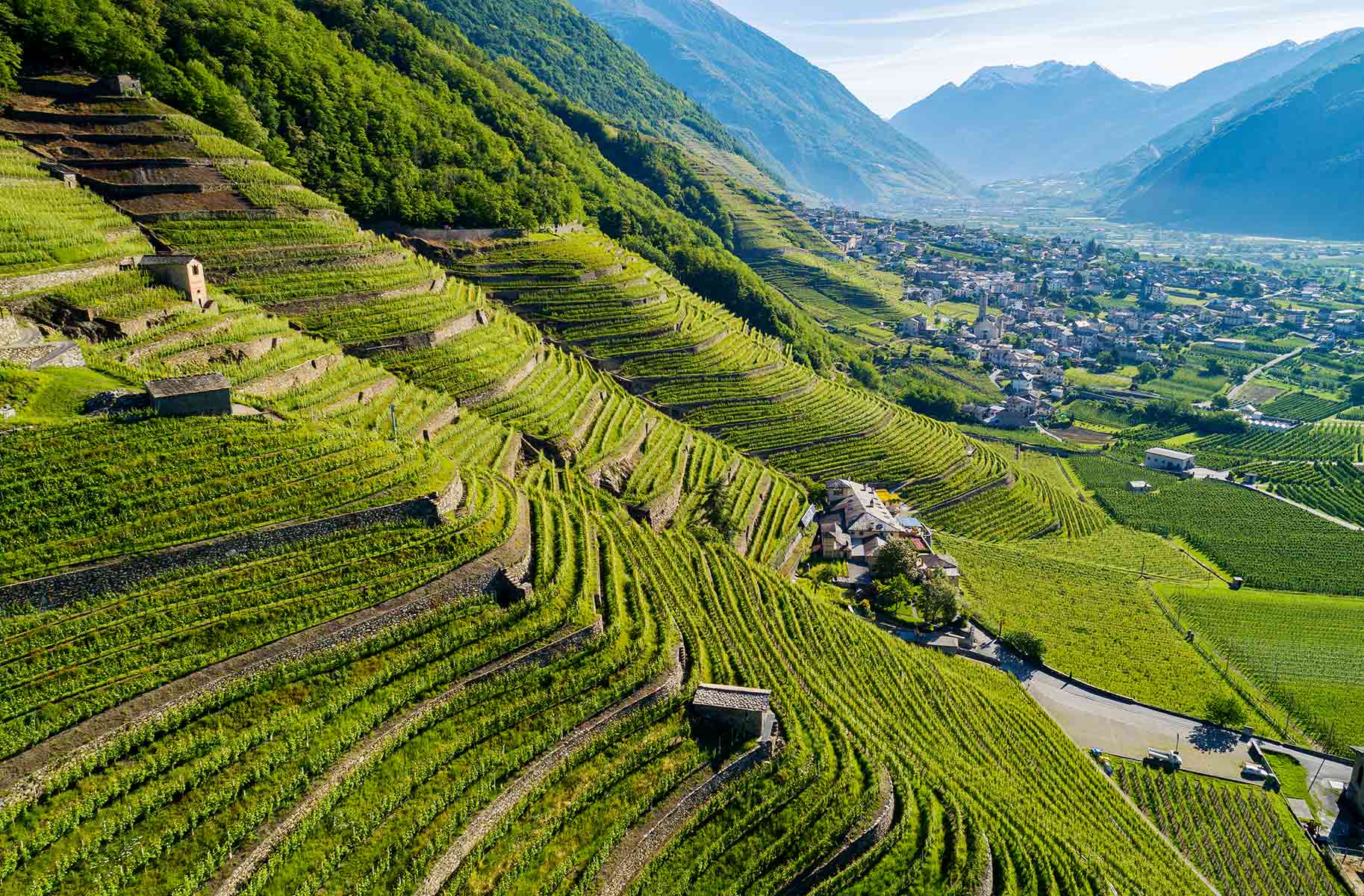 il gigante centri commerciali vigneti valtellina