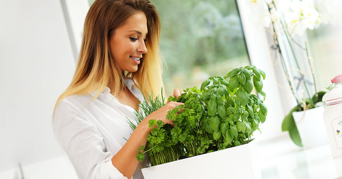 Женщина в лаванде. Сбор лекарственных трав. Женственная природа. Сборы лекарственных растений. Девушка в зелени.